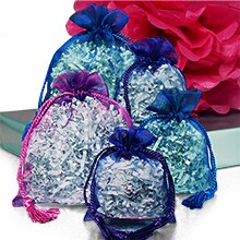 Jewel Tone Iridescent Sheer Tasseled Bags