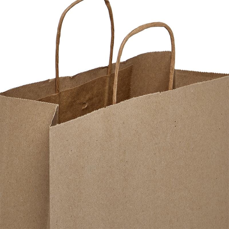 Wholesale Shopping Gift Garment Recycled Brown Kraft Paper Bags with  Twisted Paper Handle - China Bag, Paper Bag | Made-in-China.com