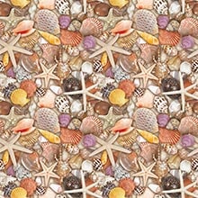 Seashells Gift Wrap - 24 X 417' - Gift Wrapping Paper by Paper Mart