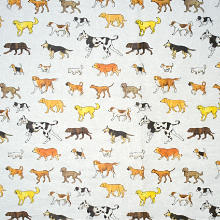 Clear Man’s Best Friend Tissue Paper – 20 X 30 – Quantity: 240 by Paper Mart Clear Man’s Best Friend Tissue Paper – 20 X 30 – Quantity: 240 by Paper Mart