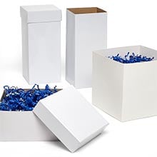 Clear Plastic Storage Boxes with Split-Hinged Lids, 9x6x4 in.