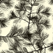 #f8974 Black Pines - Gift Wrap - 30 X 833' - - Gift Wrapping Paper by Paper Mart