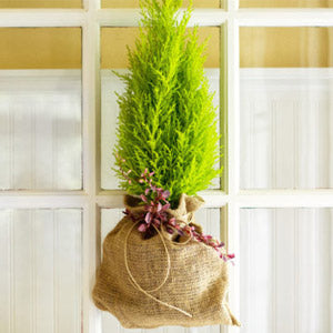 burlap