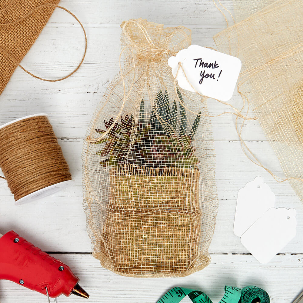 easy DIY gift idea: burlap wrapped succulent plant in a mesh bag