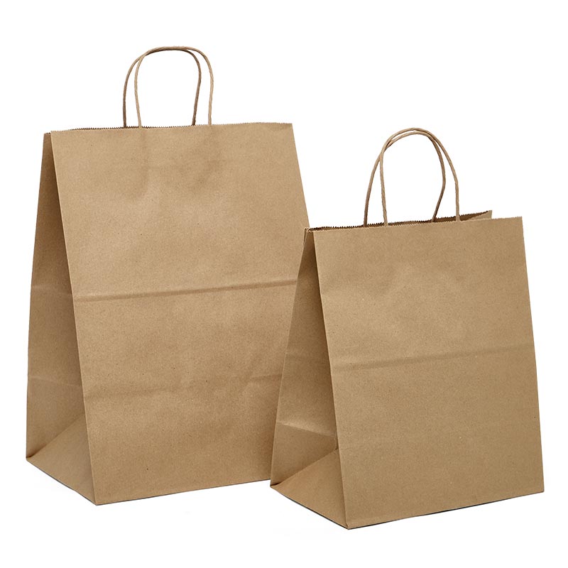 Tamper Resistant Take-Out Shopping Bags (250/Pack)