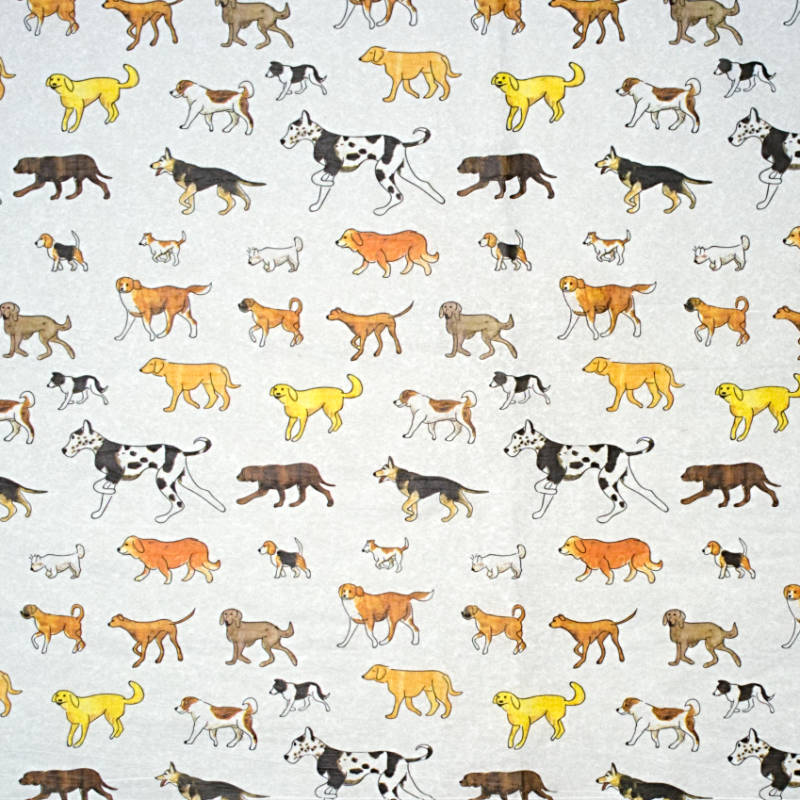 Animal Pattern Tissue Paper